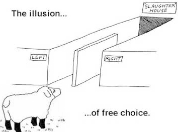 illusion-free-choice.png